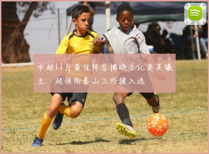 中超11月最佳阵容揭晓法比奥吴曦王燊超领衔泰山三外援入选