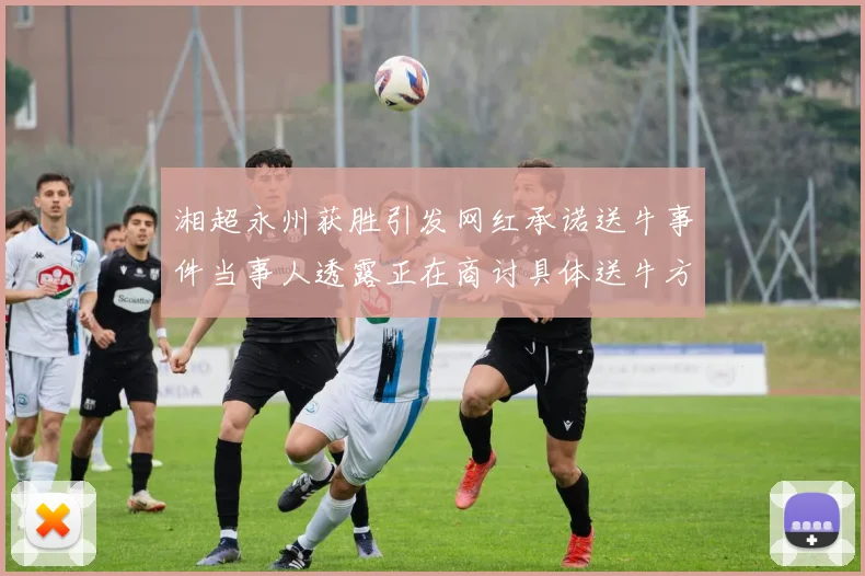 湘超永州获胜引发网红承诺送牛事件当事人透露正在商讨具体送牛方案