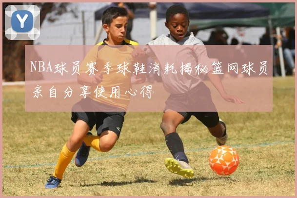 NBA球员赛季球鞋消耗揭秘篮网球员亲自分享使用心得