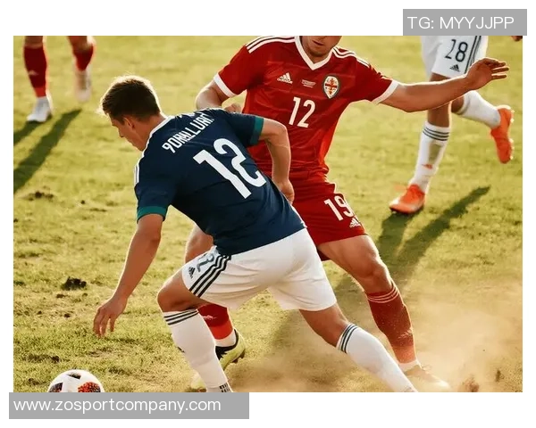 德国对北爱尔兰比赛评分分析沃尔特马德施洛特贝克鲍曼表现突出